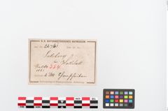 Etiketten zu Tonscheibe (NHMW-PRAE-024761)